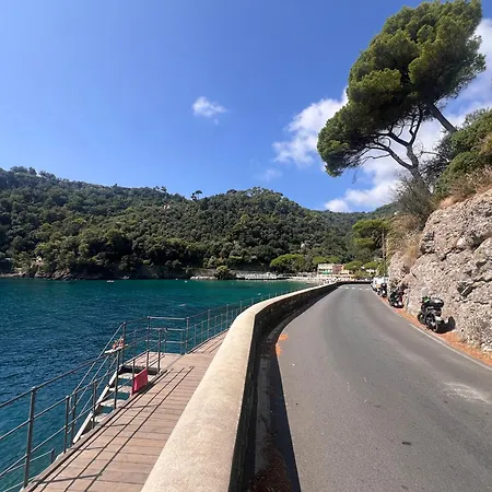 Blue Dolphin * Portofino